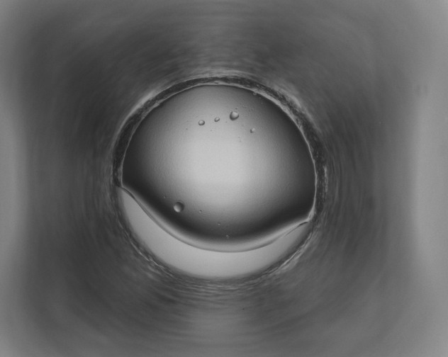 X0000112201165200908211535