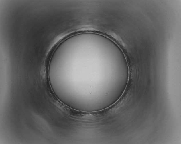 X0000112201167200908211535