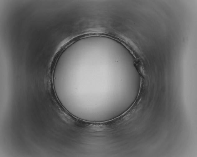 X0000112201168200908211535