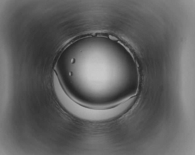 X0000112201169200908211535