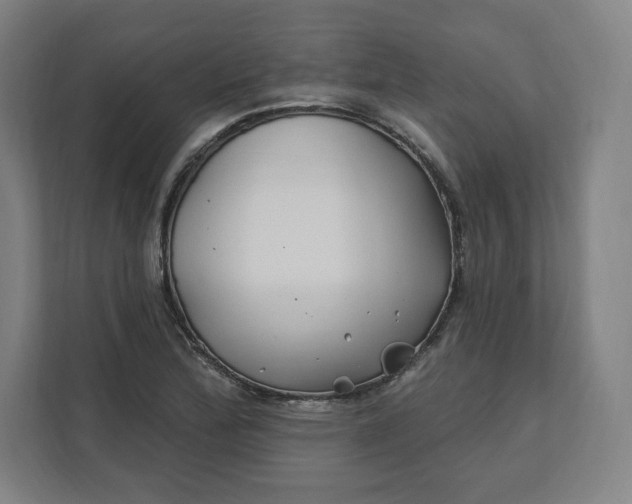 X0000112201172200908211534