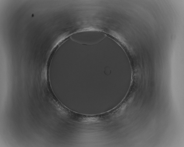 X0000112201173200908211534