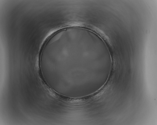 X0000112201174200908211534