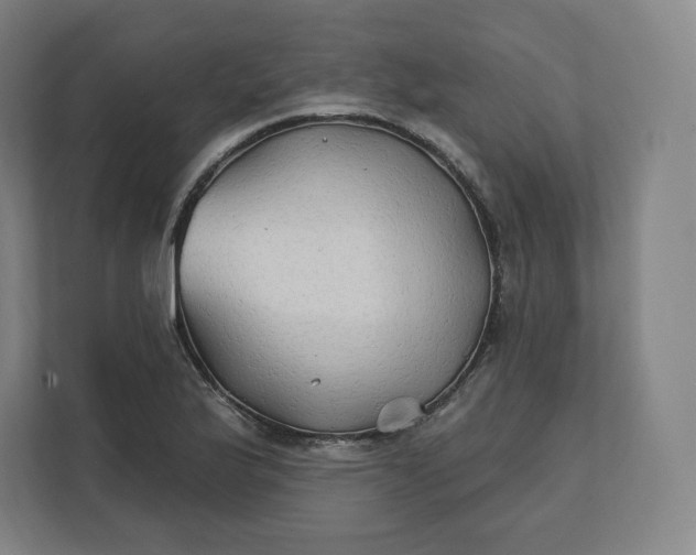 X0000112201175200908211534