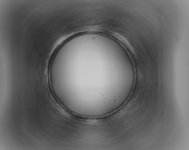 X0000112201176200908211534