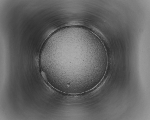 X0000112201177200908211534