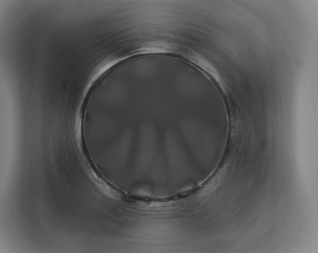 X0000112201179200908211534