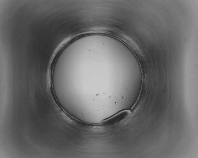 X0000112201180200908211534