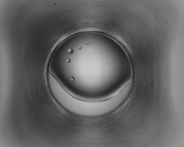 X0000112201181200908211534