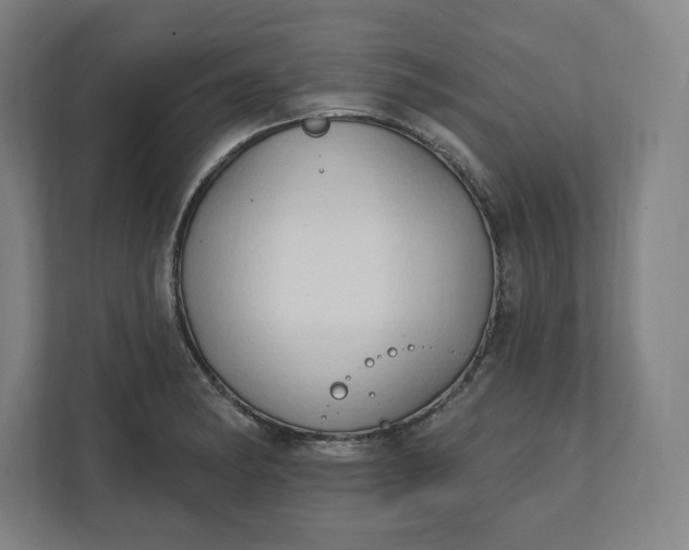 X0000112201182200908211534