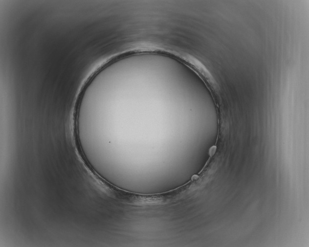 X0000112201183200908211534