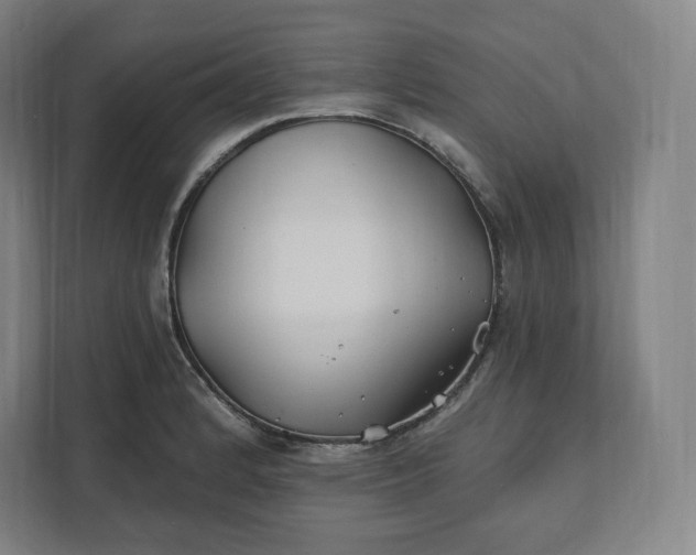 X0000112201184200908211534