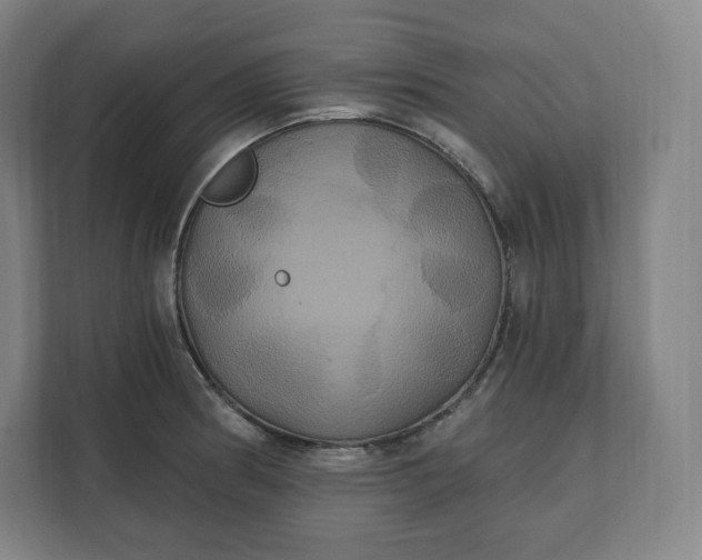 X0000112201186200908211534