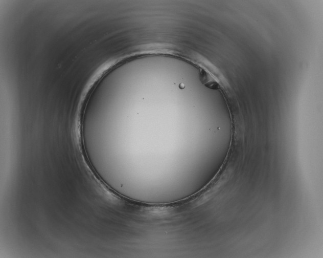 X0000112201188200908211534