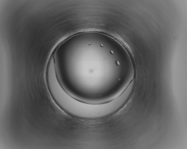 X0000112201189200908211534