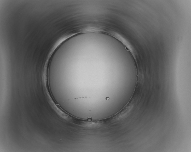 X0000112201195200908211534