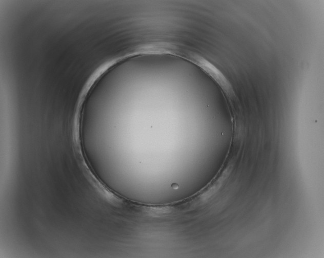 X0000112201196200908211534