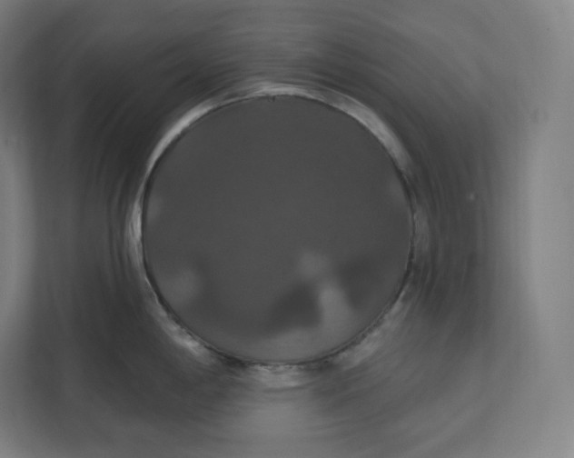 X0000112201198200908211534