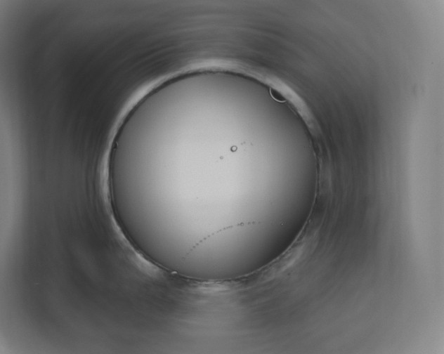 X0000112201199200908211534