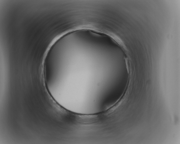 X0000112201200200908211534