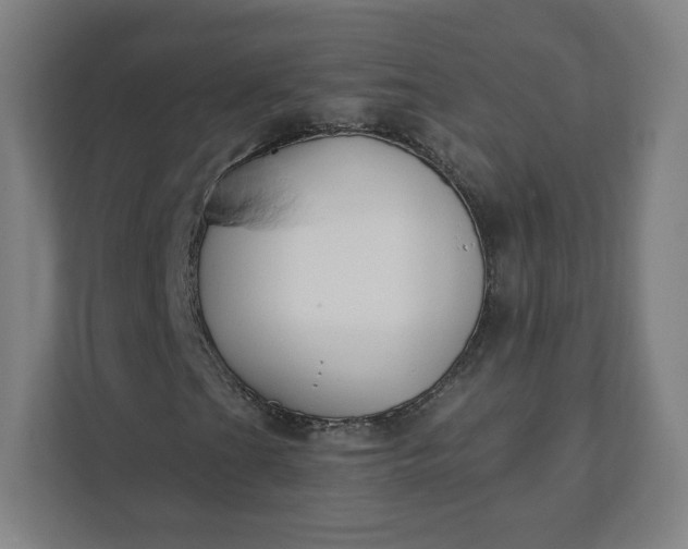 X0000112201201200908211533