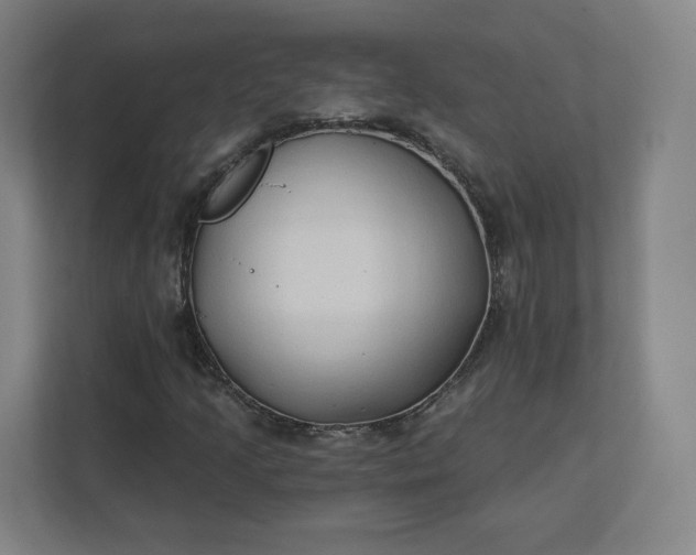 X0000112201205200908211534