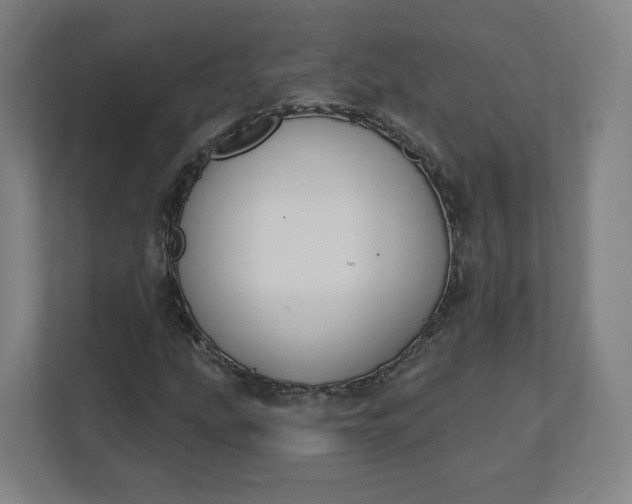 X0000112201207200908211534