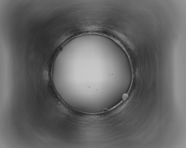 X0000112201209200908211534