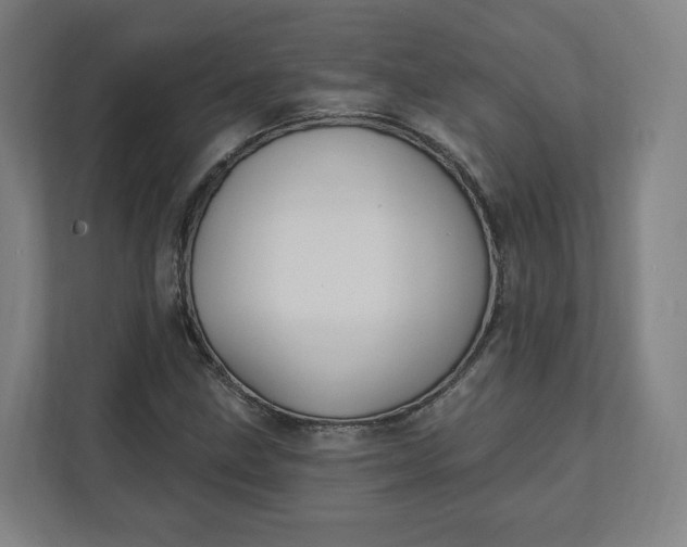 X0000112201211200908211534