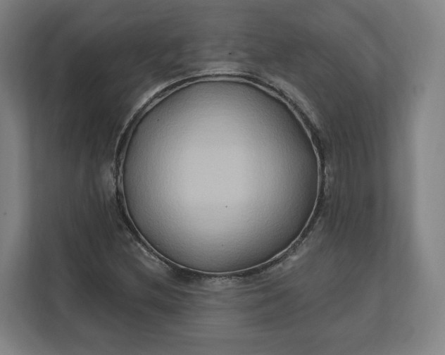 X0000112201212200908211534