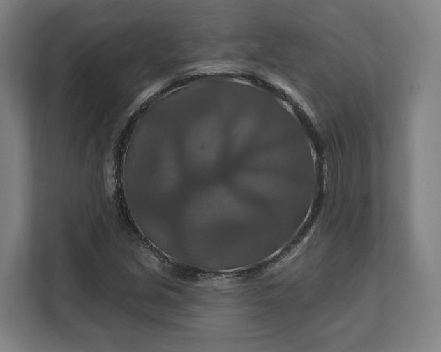 X0000112201213200908211534