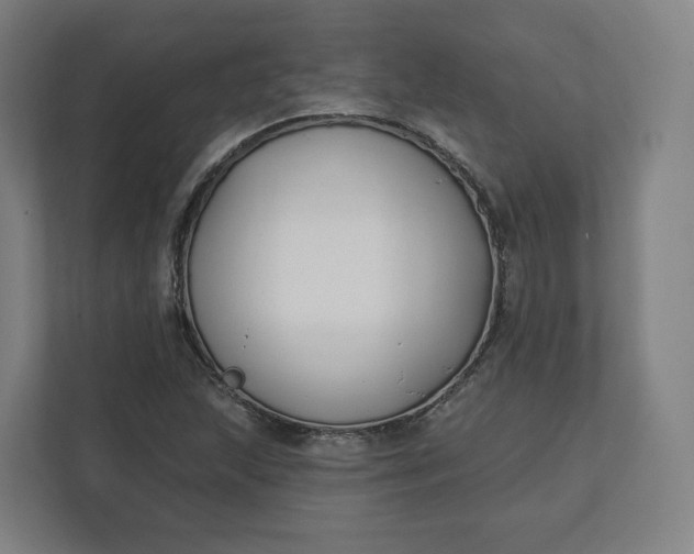 X0000112201215200908211534