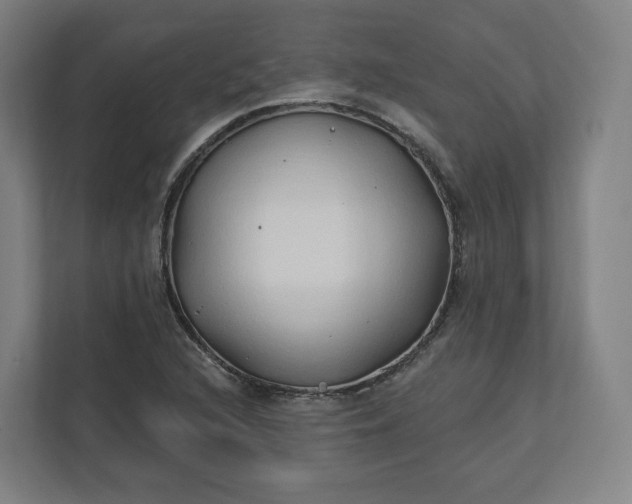 X0000112201216200908211534