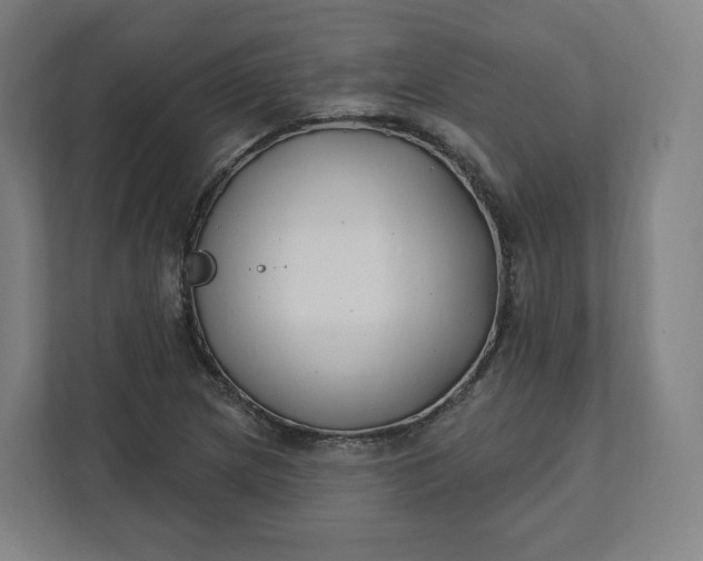 X0000112201217200908211534