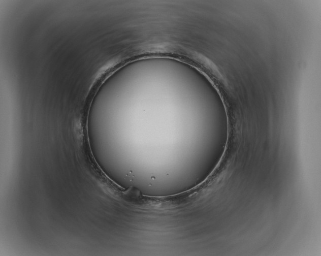 X0000112201218200908211534