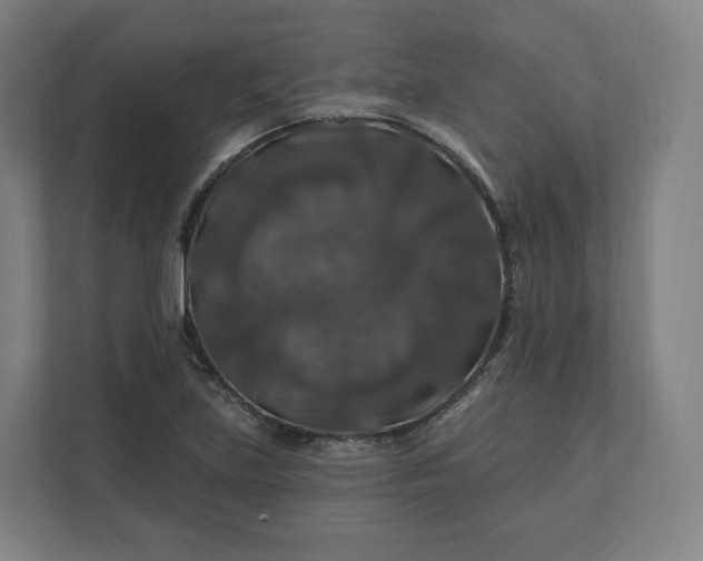 X0000112201219200908211534