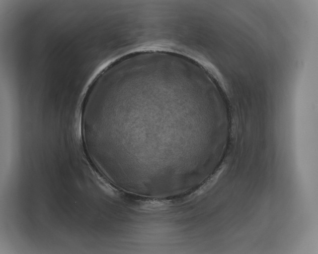 X0000112201224200908211534