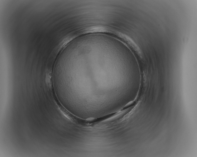 X0000112201225200908211534