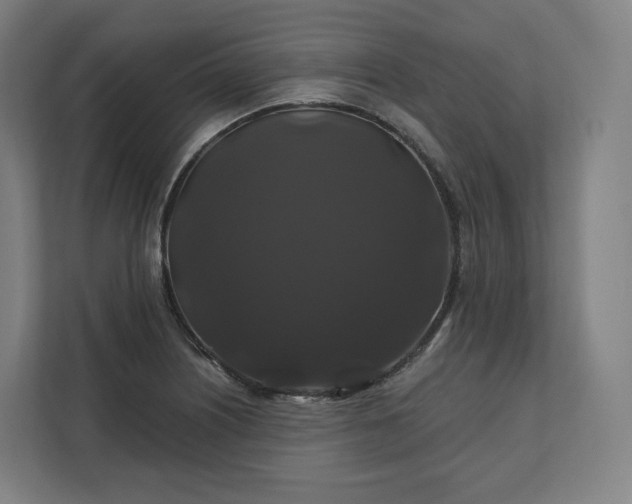 X0000112201226200908211534