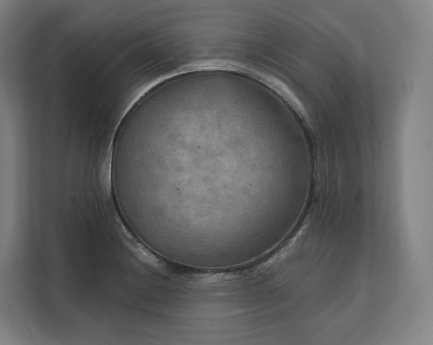 X0000112201228200908211534