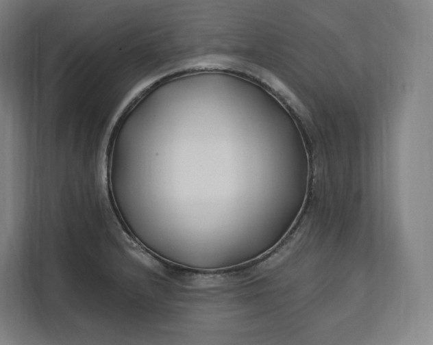 X0000112201232200908211534