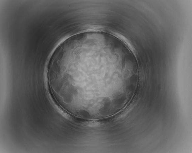 X0000112201235200908211534