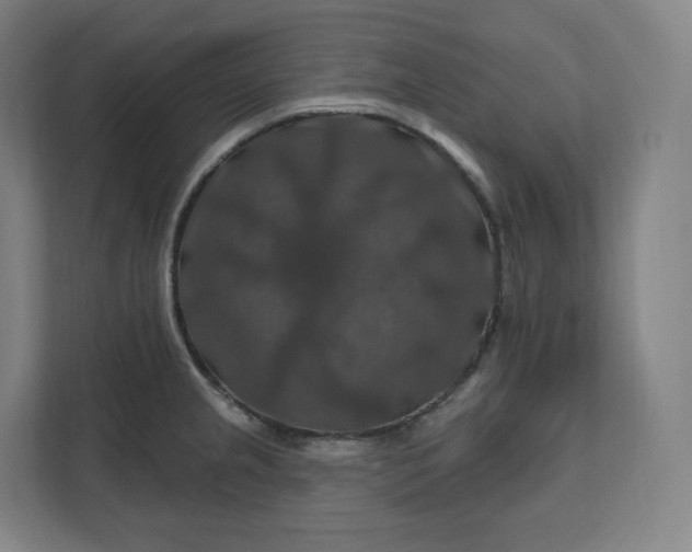 X0000112201237200908211534