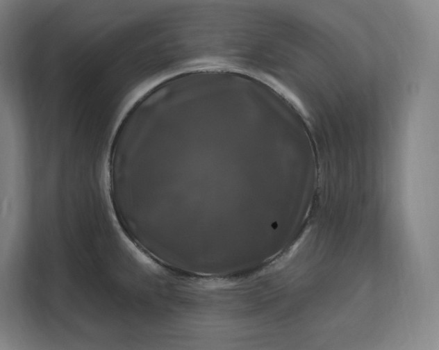 X0000112201239200908211534