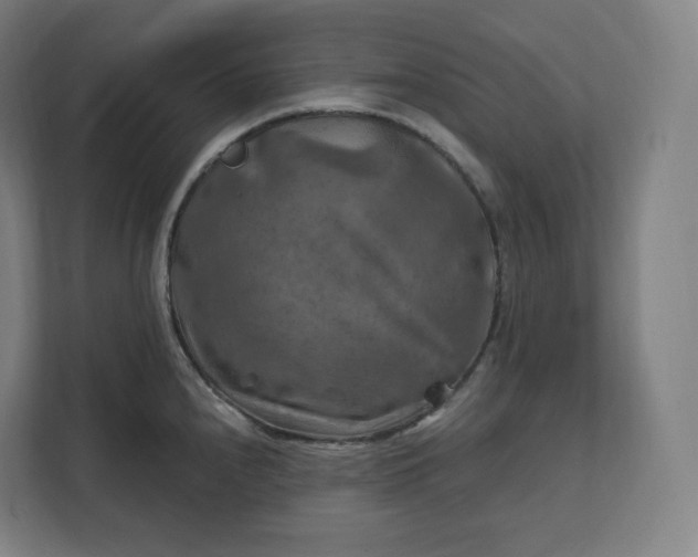 X0000112201240200908211534