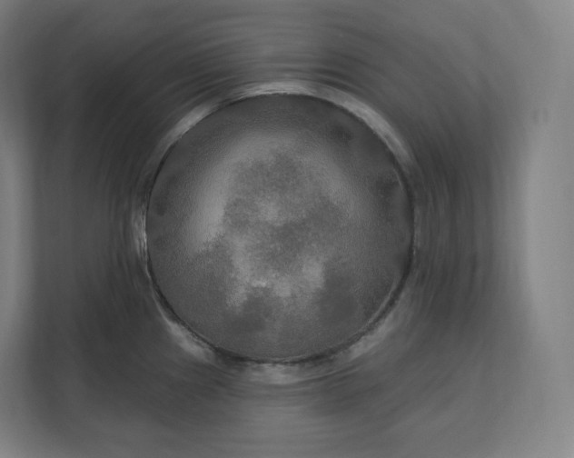 X0000112201241200908211534