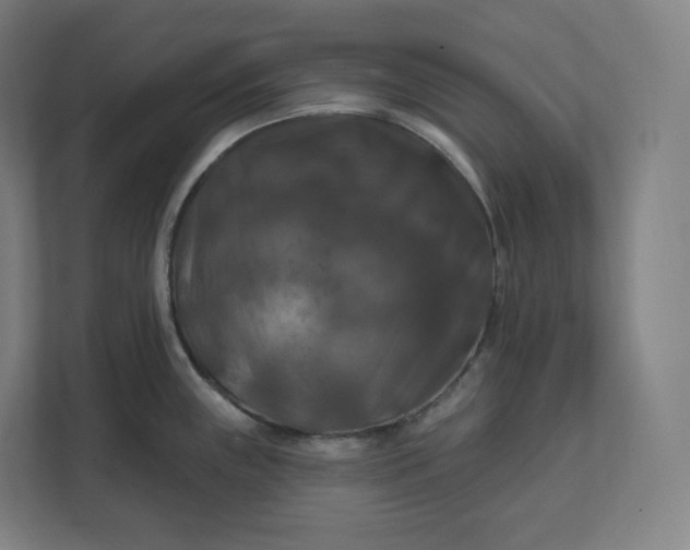 X0000112201243200908211534