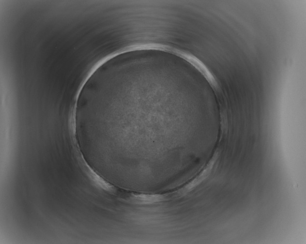 X0000112201244200908211534