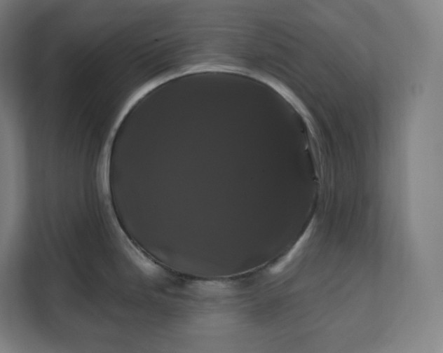 X0000112201246200908211534