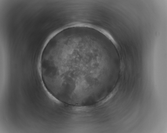 X0000112201247200908211534